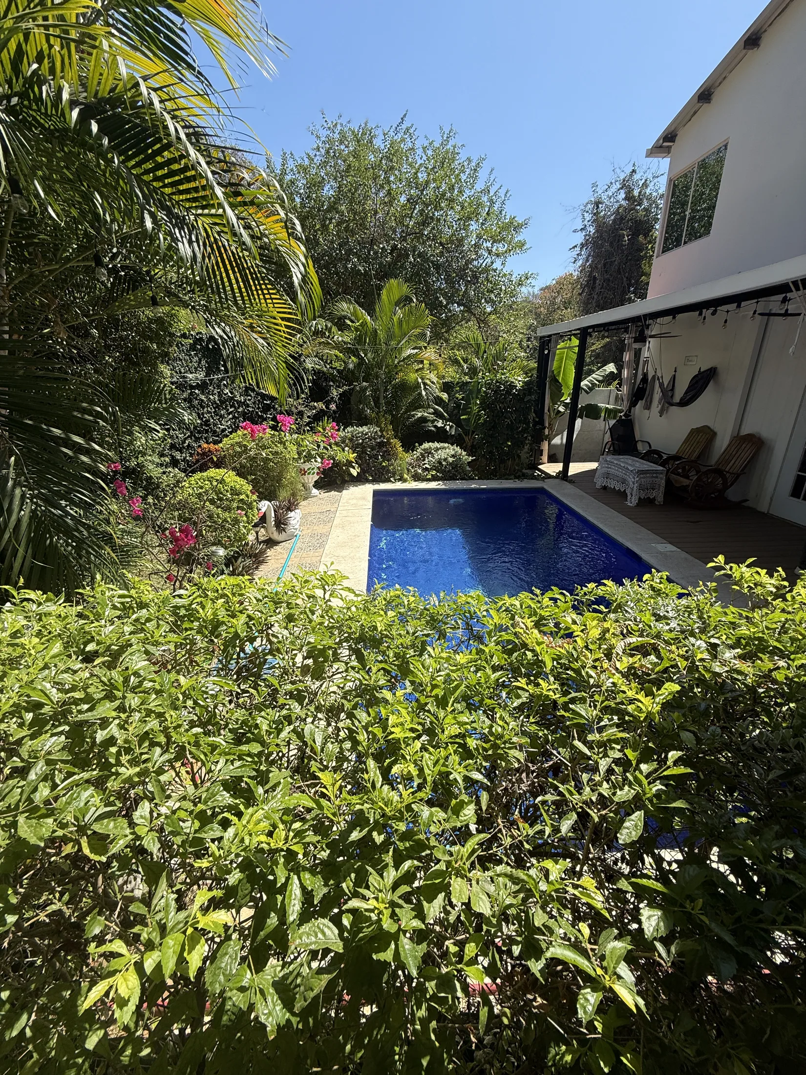 Private pool and tropical garden