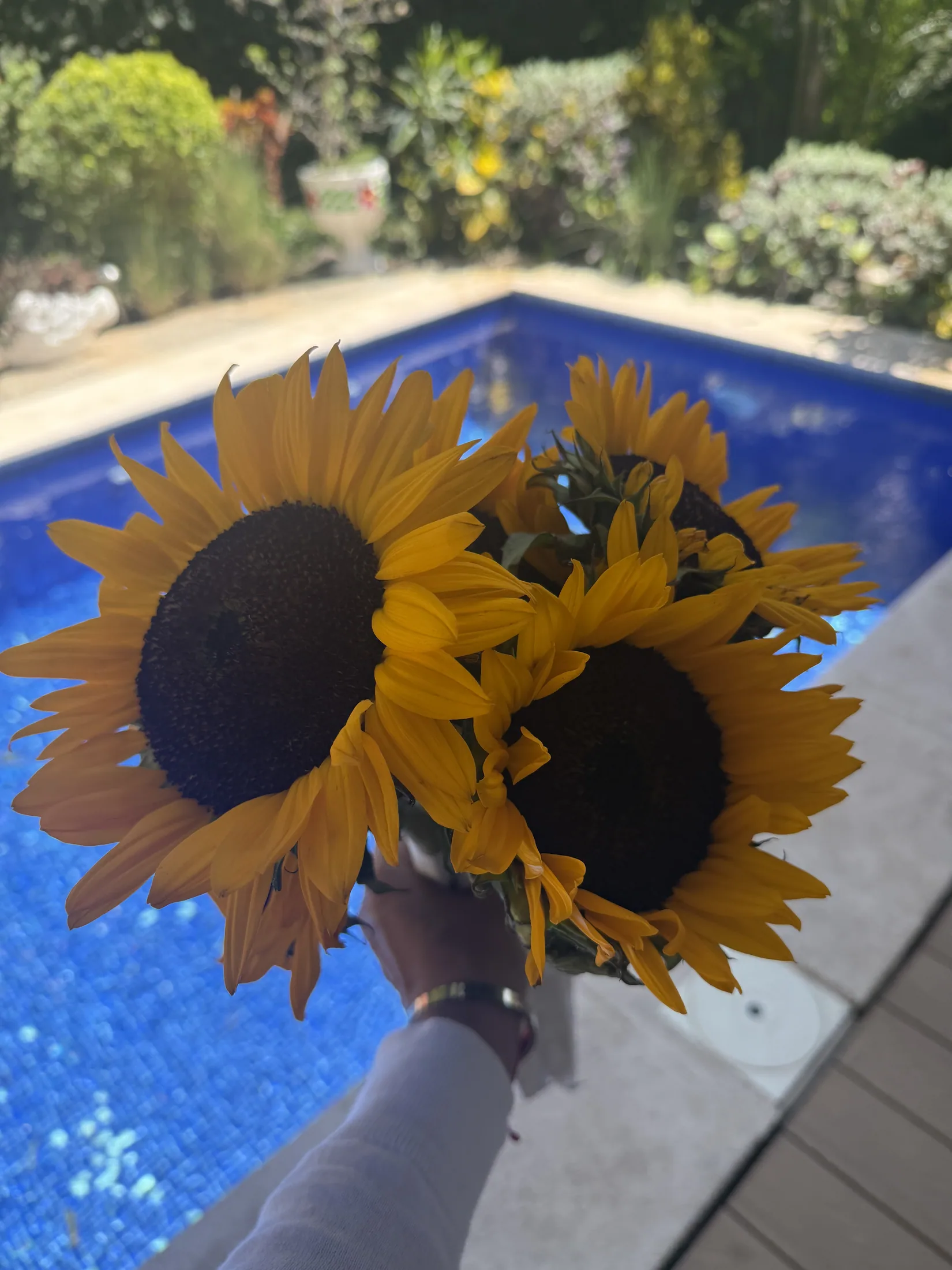 Private pool tropical flowers