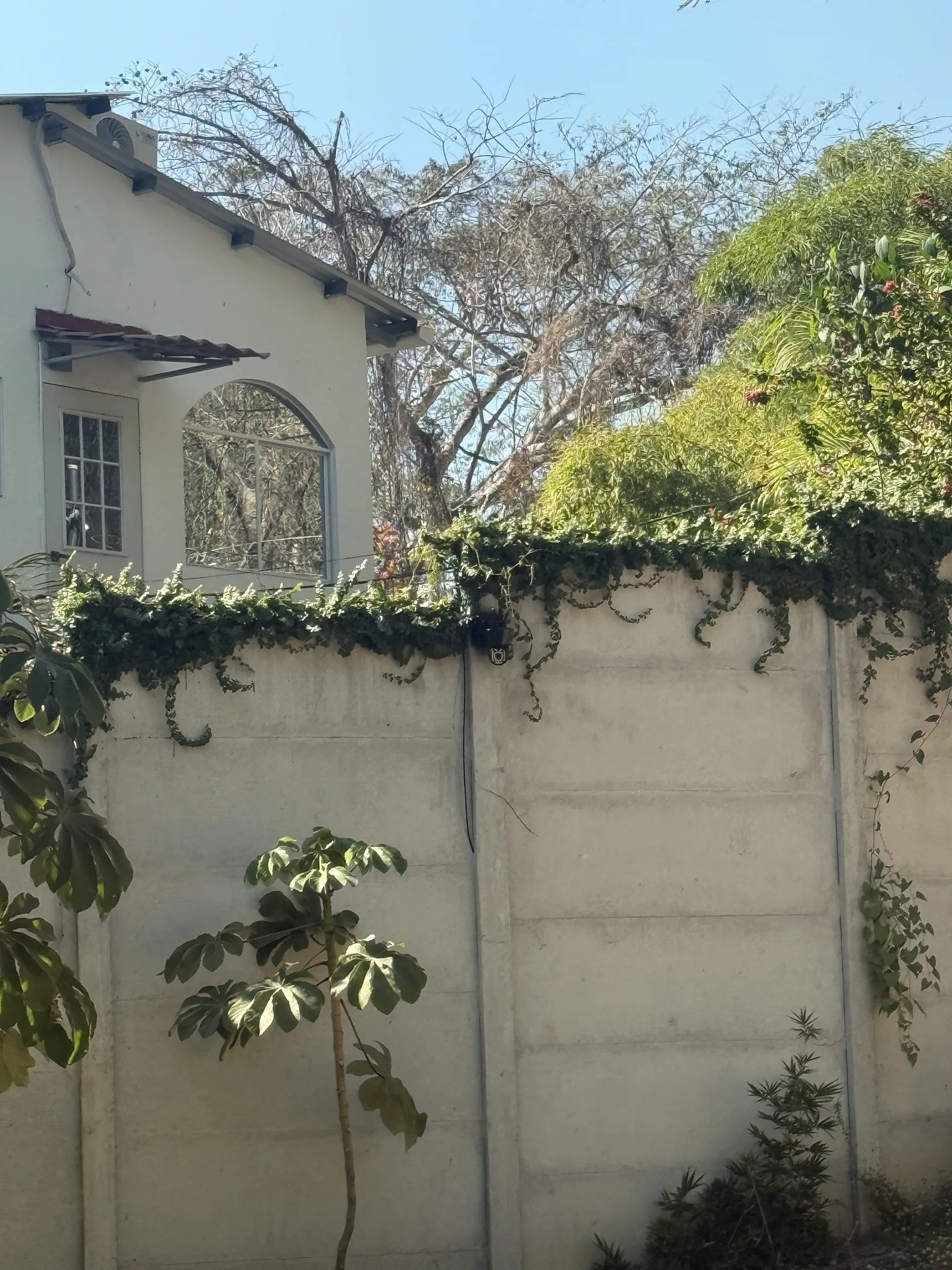Private walled entrance