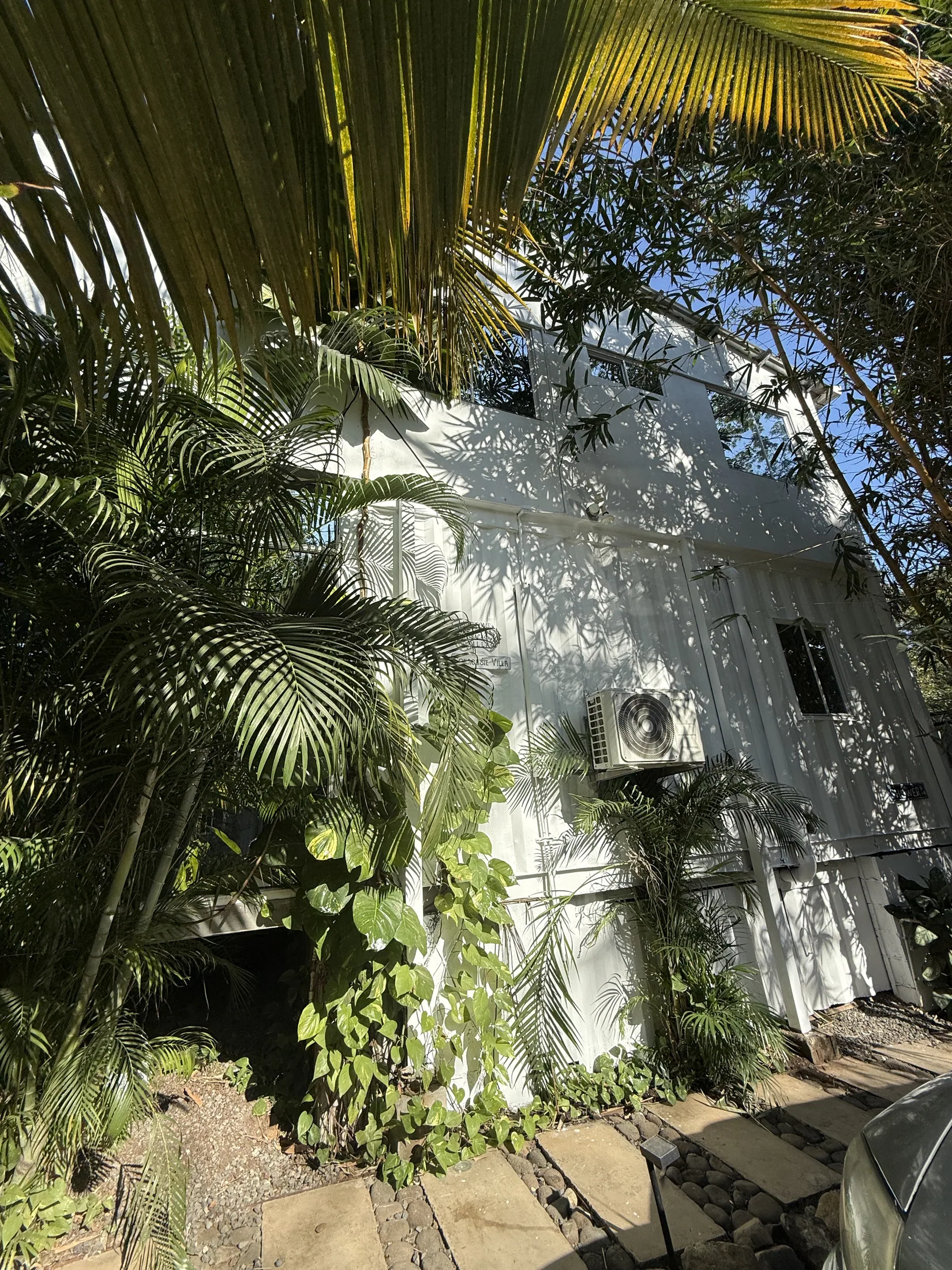 Tropical garden walkway