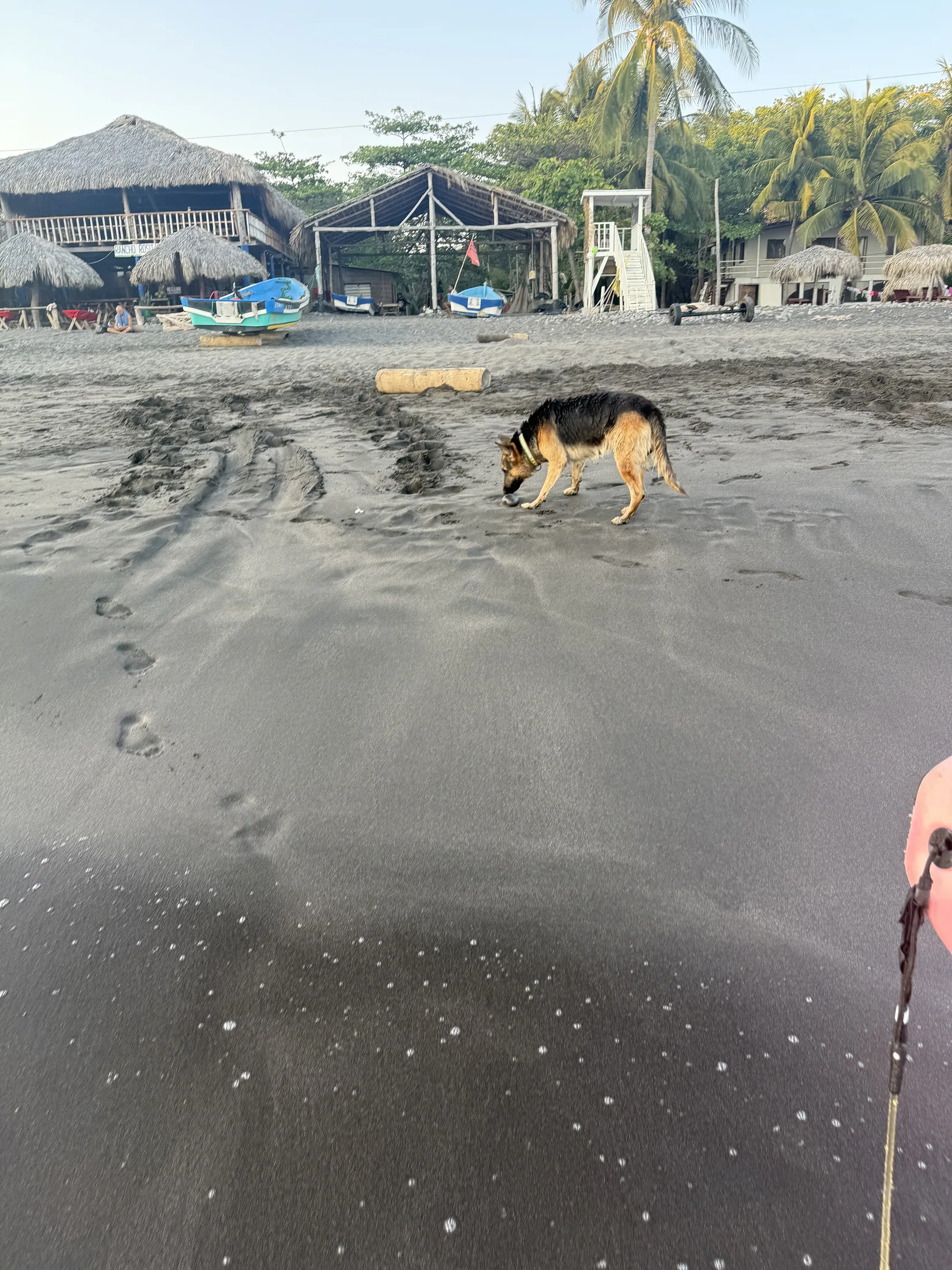 Playa El Palmarcito black sand beach
