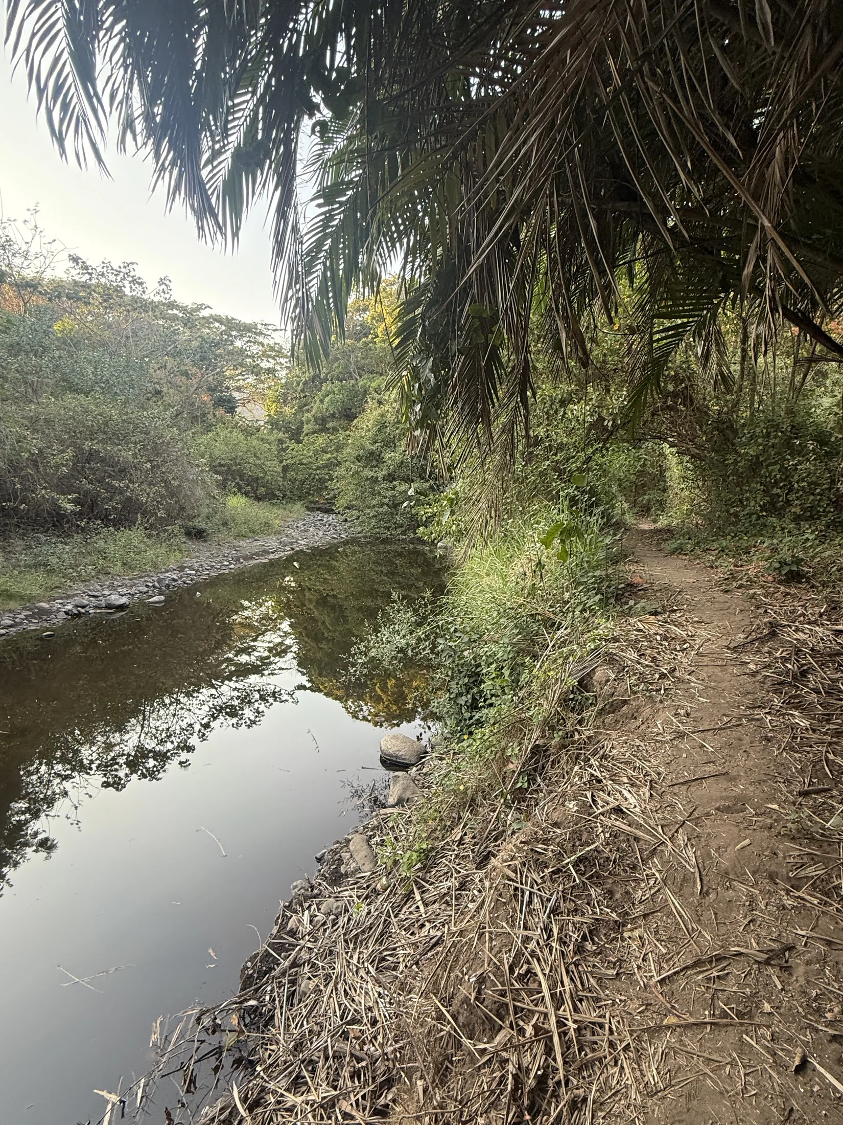 Playa El Palmarcito river trail