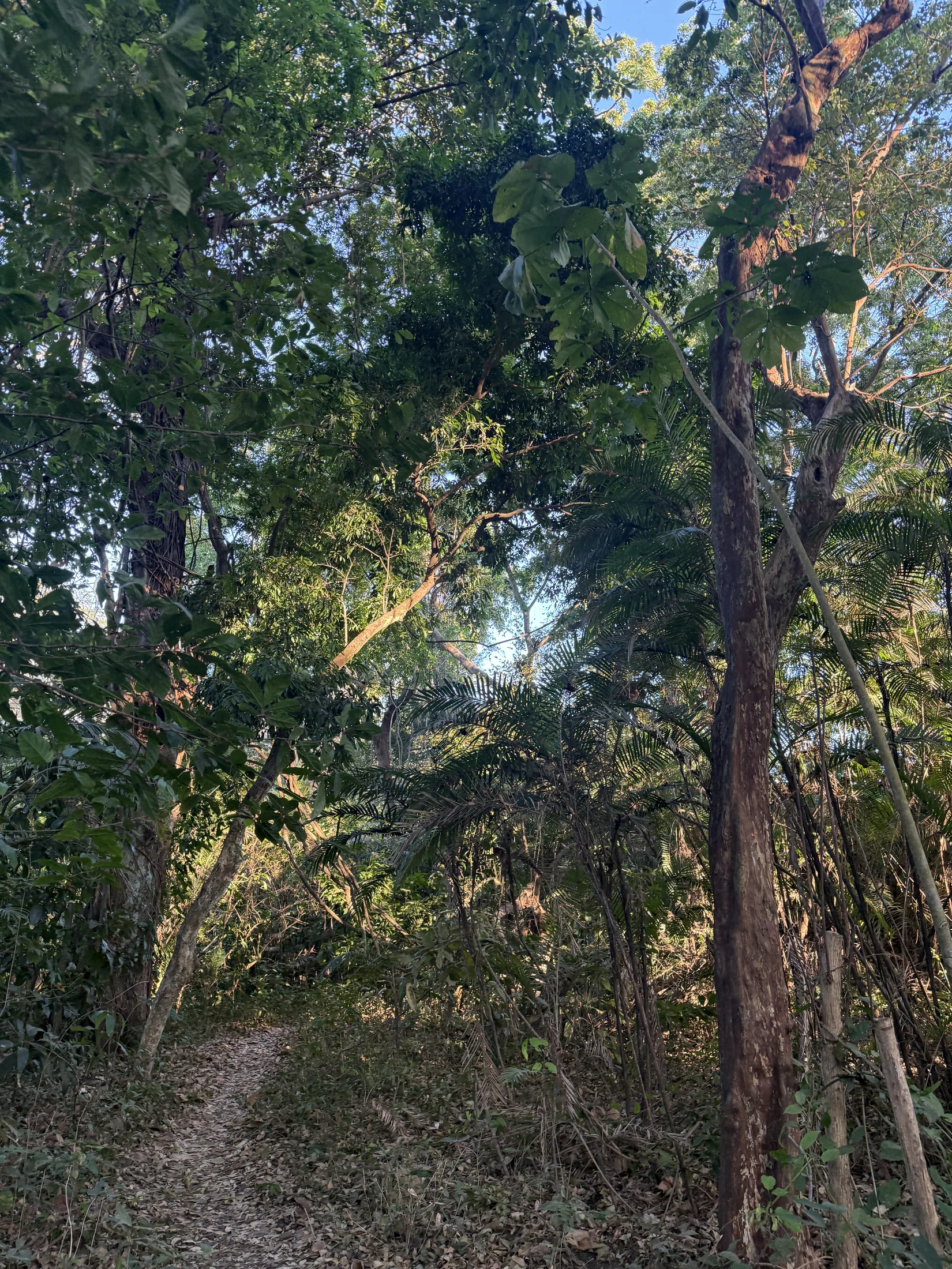 Playa El Palmarcito river trail from airbnb