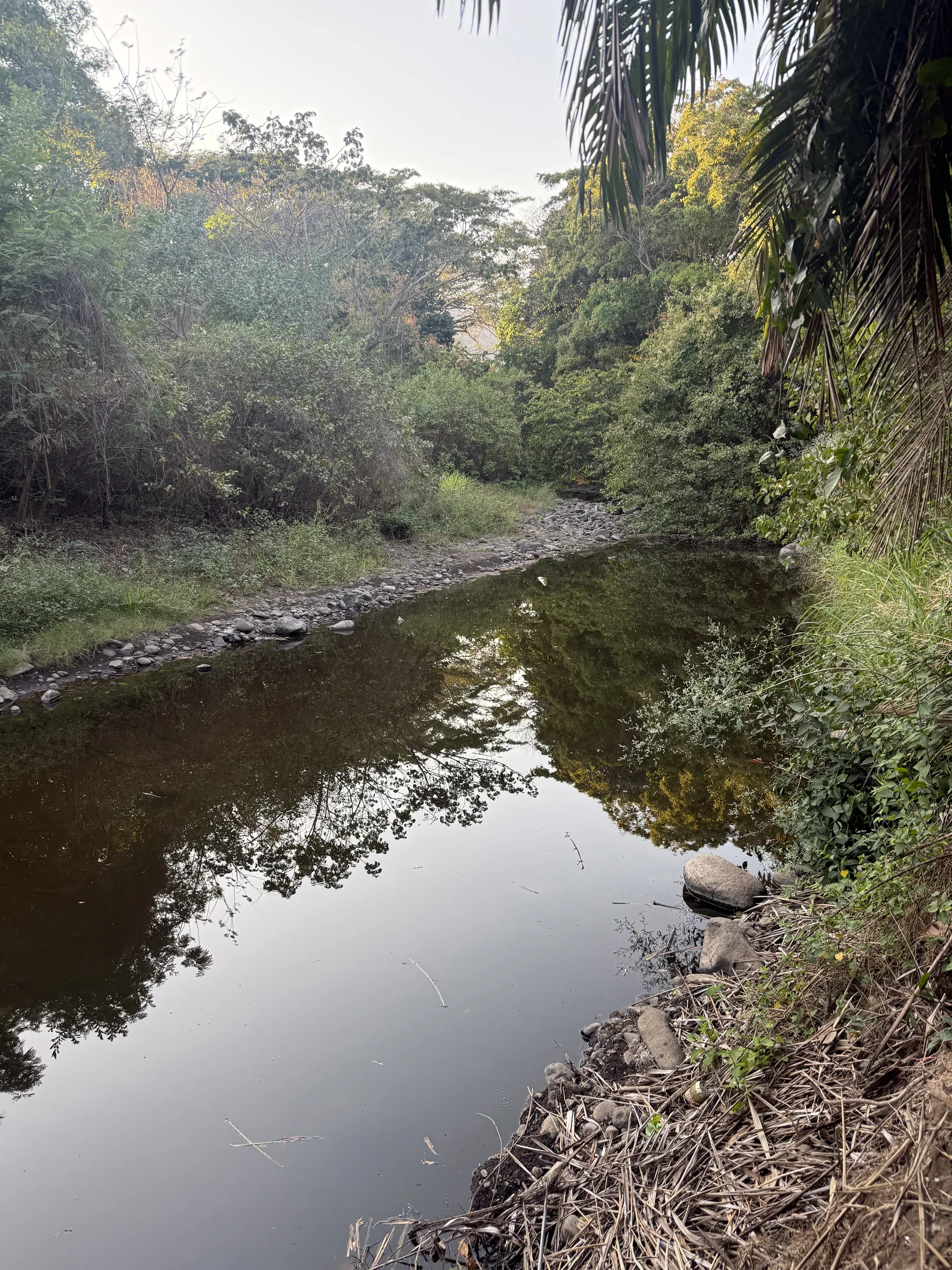 Playa El Palmarcito river walk